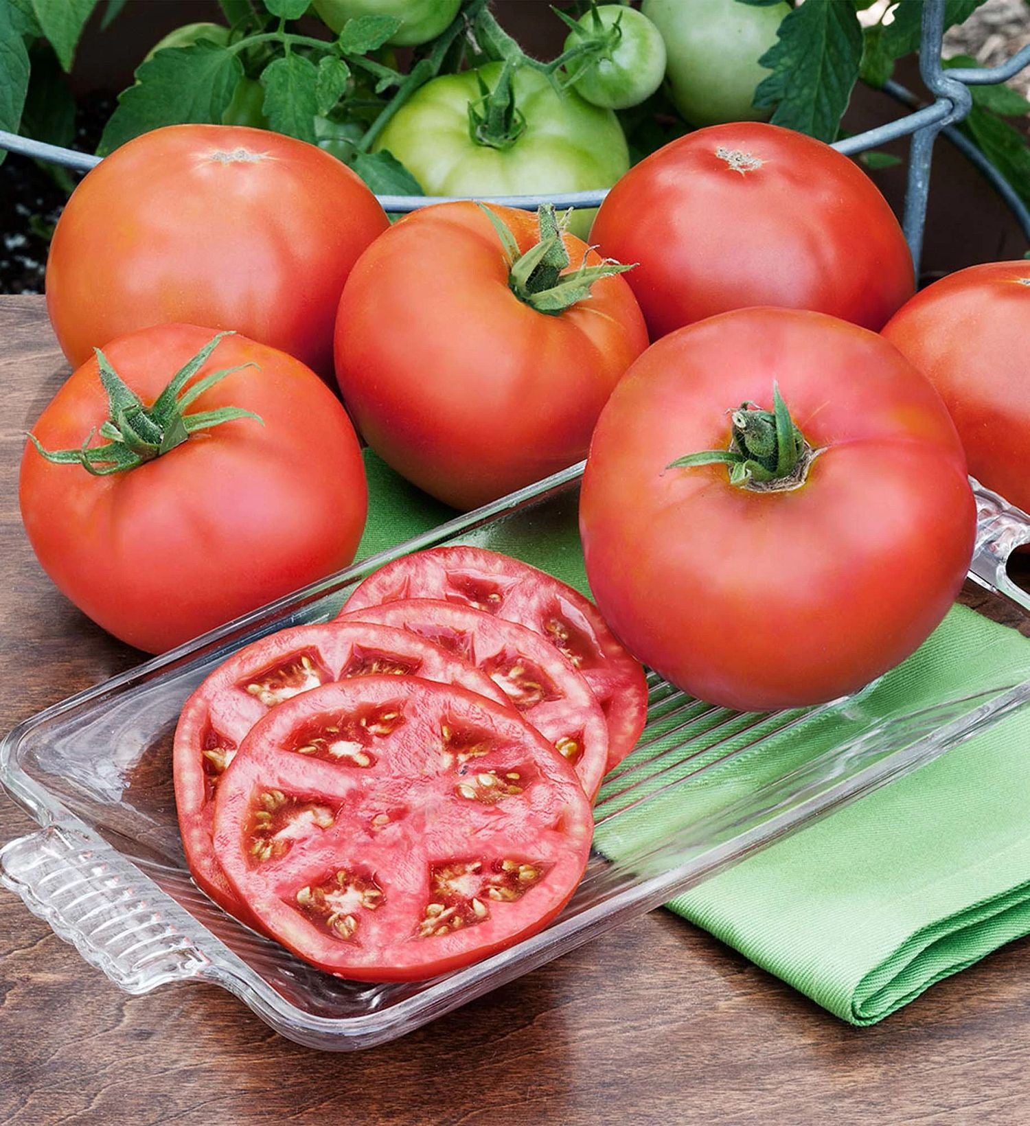 Master Double Tomato Cages: Prevent Tall Plants from Falling